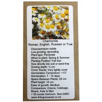 6 Degrees East Heirloom Herb Seeds - Chamomile - Roman Chamomile